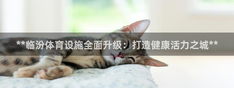 意昂体育3软件：**临汾体育设施全面升级：打造健康活