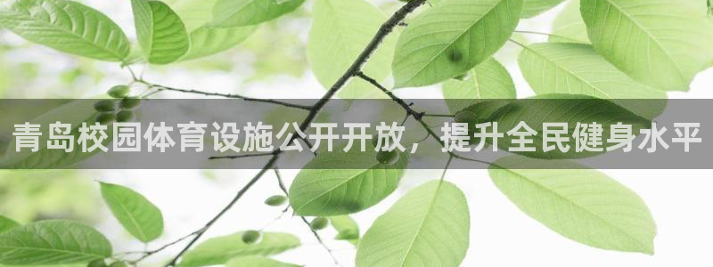 意昂体育3是干嘛的公司：青岛校园体育设施公开开放，提